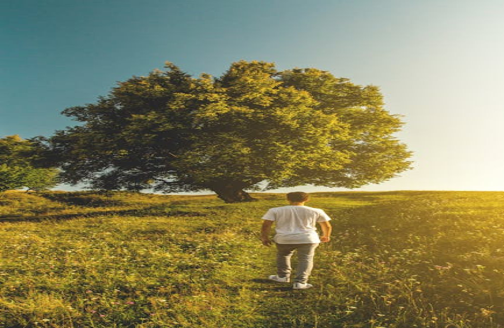 Hoe een kleine dagelijkse wandeling je hele dag positief kan veranderen
