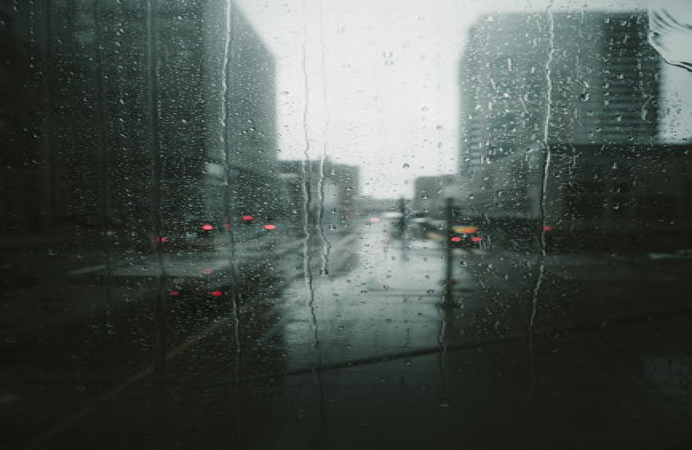 Waarom ruikt het buiten na een regenbui zo lekker? uitgelegd