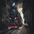 Waarom vertraagt mijn trein en waar kan ik real-time updates vinden?