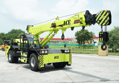 Waar en wanneer kun je de kraanvogeltrek in Nederland zien