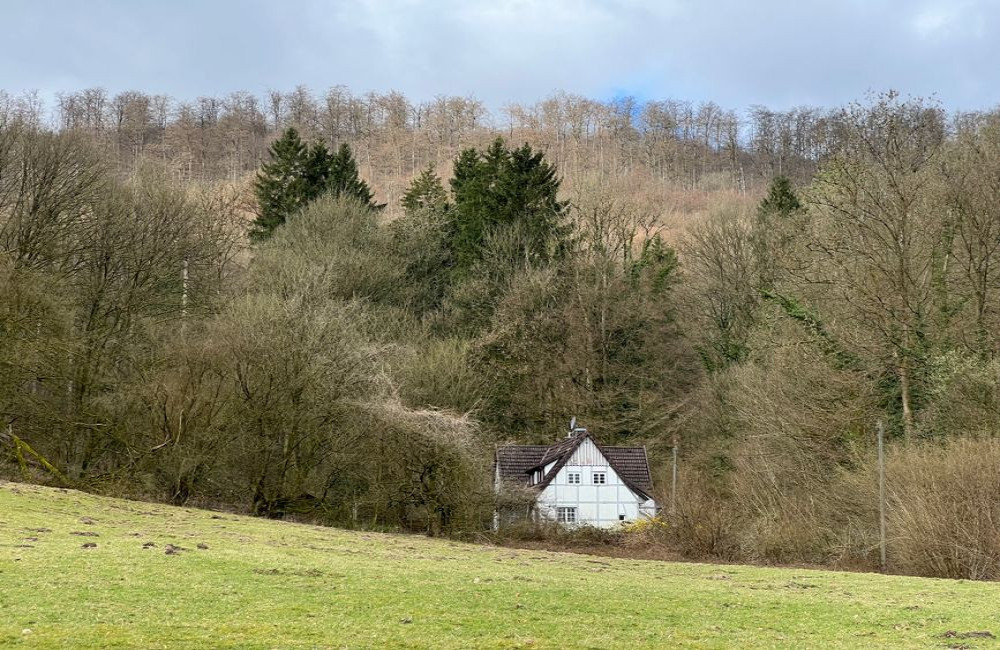 Vakantiepark Saarbrücken: huisje huren in het Saarland aan de grens met Frankrijk
