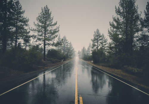 Waarom ruikt het altijd anders na een regenbui: het geheim van petrichor