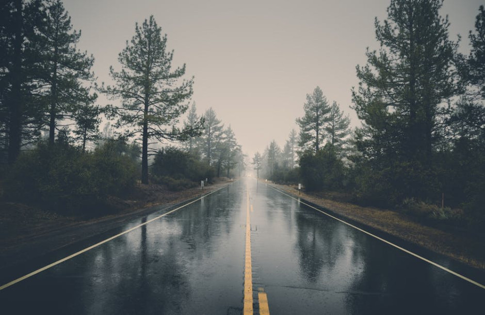 Waarom ruikt het altijd anders na een regenbui: het geheim van petrichor