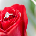 De betekenis en symboliek van rode rozen