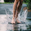 Waarom ruiken sommige plekken tijdens een zomerse regenbui zo aangenaam